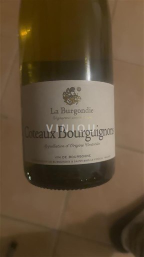 Bourgogne Bourgogne skråninger La Burgondie 2023