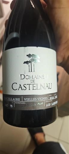Vin Rouge sec Parcellaire Vielles Vignes Domaine Castelnau 2019 France Languedoc AOC