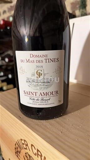 Beaujolais Saint-Amour Domaine Mas des Tines Côte de Besset 2018