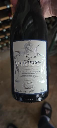 Valle della Loira Bourgueil Domaine La Chopinière du Roy d'Antan 2020