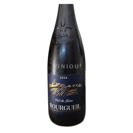 Valle del Loira Bourgueil Wval de Loire 2024