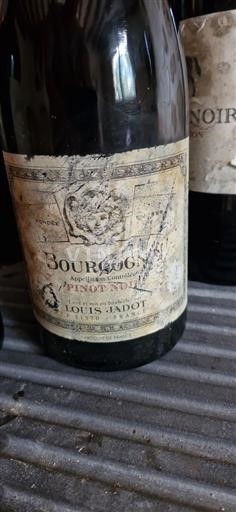 Burgundy Louis Jadot Non-Vintage