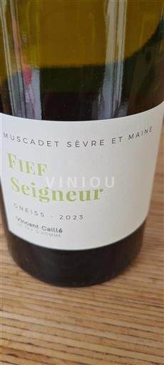 Loiredalen Muscadet-Sèvre-et-Maine Vincent Caillé Fief Seigneur 2023