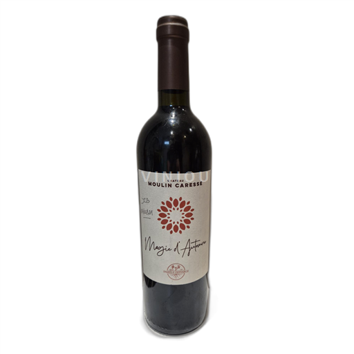 Lounais-Ranska Bergerac Chateau moulin caresse Magie d'automne 2016
