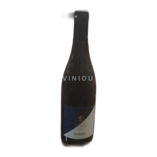 Vin Rouge sec Maison Nau 2021 France Vallée de la Loire Bourgueil AOC