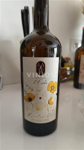 Languedoc in Roussillon Saint-Guilhem-le-Désert Domaine L'Evohé Bouton d'or 2024