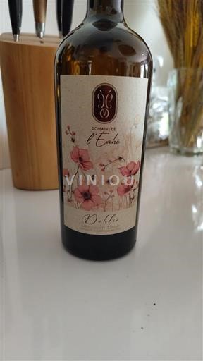 Languedoc in Roussillon Saint-Guilhem-le-Désert Domaine L'Evohé Dahlia 2023