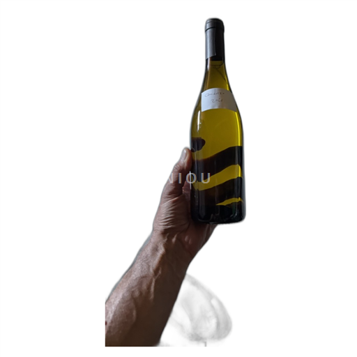 Vin Blanc demi-sec Non etiquetté 2021 France Vallée du Rhône Condrieu AOC