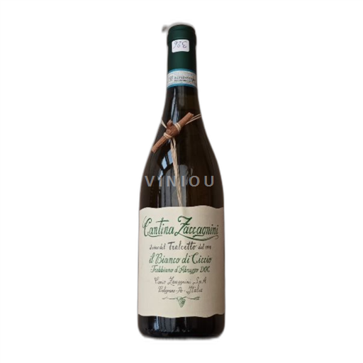 Vin Blanc sec Il Bianco Di Ciccio Cantina Zaccagnini 2024 Italie Abruzzes Trebbiano d'Abruzzo DOC