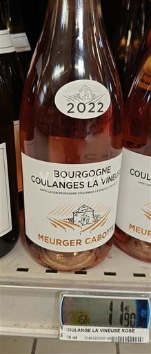 Burgund Bourgogne Coulanges-la-Vineuse Meurger Cabotte 2022