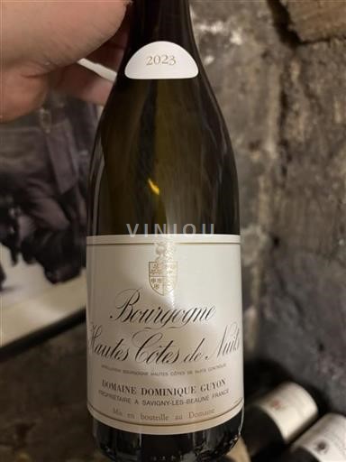 Burgundy Hautes Côtes de Nuits Domaine Dominique Guyon 2023