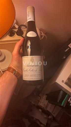 Burgundy Hautes Côtes de Nuits Domaine Dominique Guyon 2023