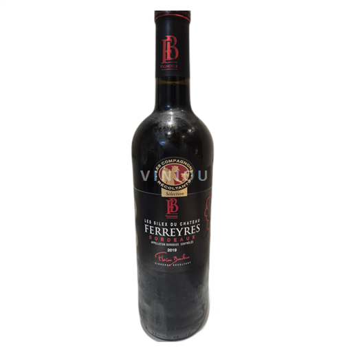 Bordeaux Ferreyres Les Silex du Chateau 2019