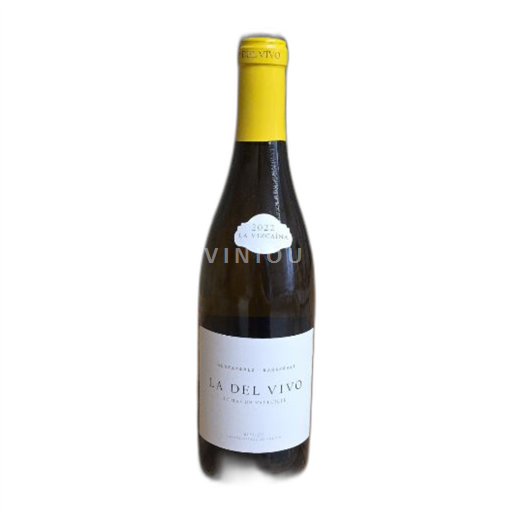 Castilien og León Bierzo Bodegas y Viñedos Raúl Pérez La del Vivo 2022