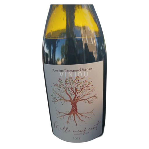 Beaujolais Emmanuel sainson Mille neuf cent quarante neuf 2023