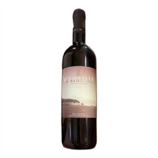 Tuscany Il Bruciato 2019 2019