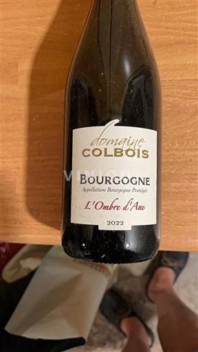 Bourgogne Domaine Colbois L'Ombre d'Ane 2022
