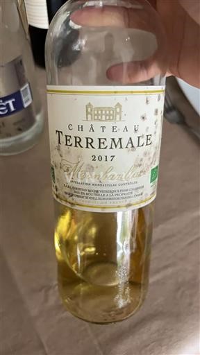 Zuidwest-Frankrijk Monbazillac Château Terremale 2017