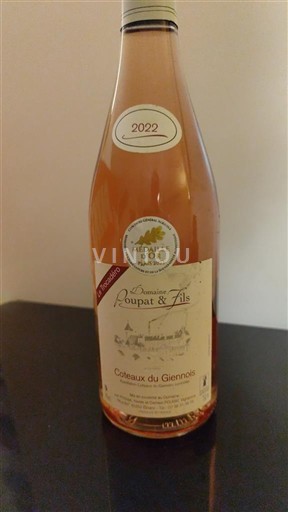 Valle della Loira Coteaux-du-giennois Domaine Poupat & Fils Le Trocadéro 2022