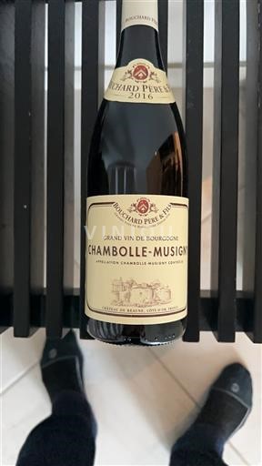 Bourgogne Chambolle-Musigny Premier Cru Bouchard Père & Fils 2016