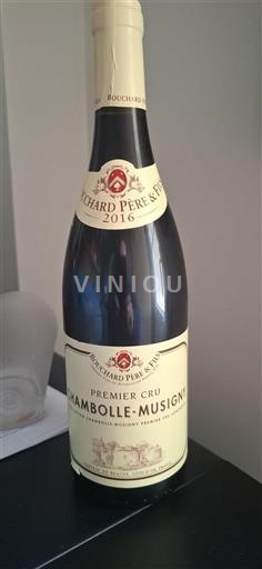 Burgundy Chambolle-Musigny Premier Cru Bouchard Père & Fils 2016