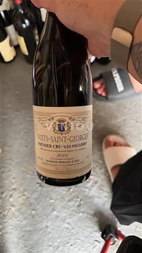 Bourgogne Nuits-Saint-Georges Premier Cru Domaine Boillot & Fils Les Pruliers 2000