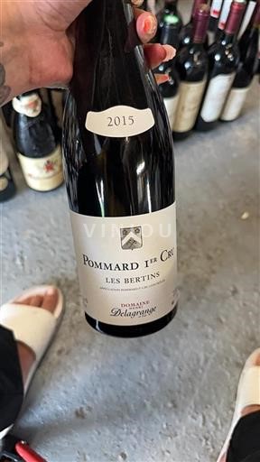 Burgundy Pommard Premier Cru Domaine Henri Delagrange Les Bertins 2015