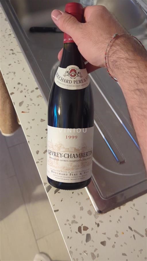 Bourgogne Gevrey-chambertin Bouchard Père & Fils 1999