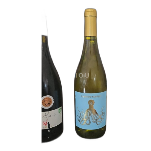 Zuidwest-Frankrijk Côtes du Tarn Famille ARBEAU 2023 2023
