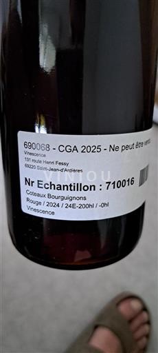 Bourgondië Bourgondische heuvels Vinescence 2024