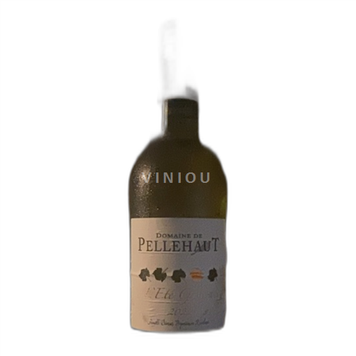 Südwestfrankreich Côtes de Gascogne Domaine Pellehaut L'Été Gascon Blanc Ohne Jahrgang