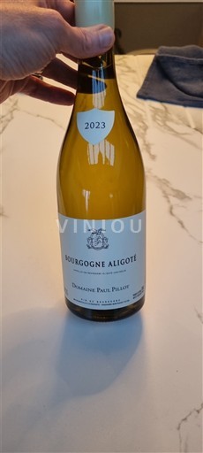Borgoña Borgoña-Aligoté Domaine Paul Pillot 2023