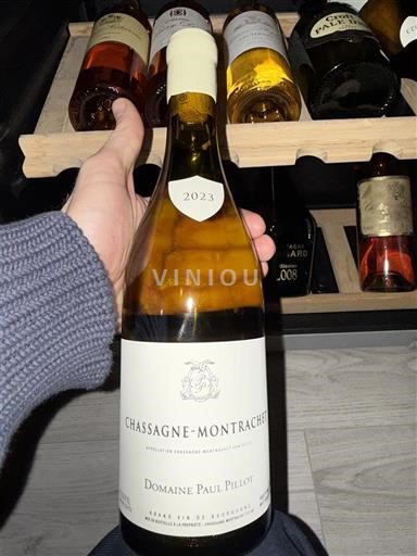 Bourgogne Chassagne-Montrachet Domaine Paul Pillot 2023