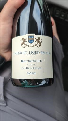 Burgundy Thibault Liger-Belair Les Deux Terres 2021