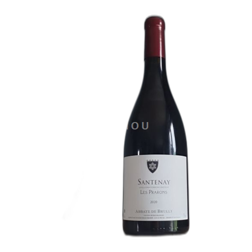 Vin Rouge sec Les Prarons Abbaye de Brully 2020 France Bourgogne Santenay AOC