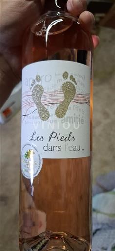 Sudoeste Côtes de Gascogne Domaine La Grave Les Pieds dans l'eau Sin añada