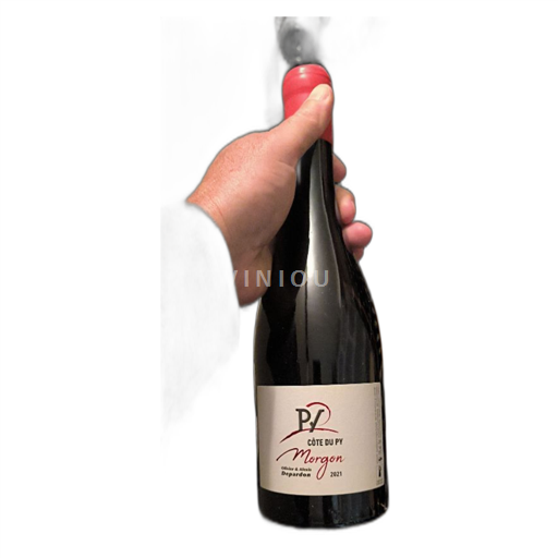 Beaujolais Morgon Olivier & Alexis Depardon Côte du Py 2021