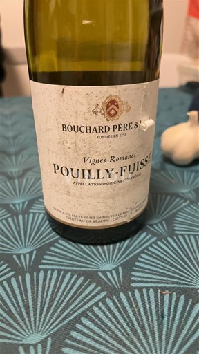 Burgundsko Pouilly-fuissé Bouchard Père & Fils Vignes Romanes 2018