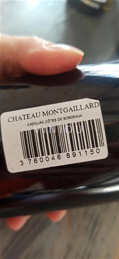 Bordeaux Cadillac-côtes-de-bordeaux Château Montgaillard 2020