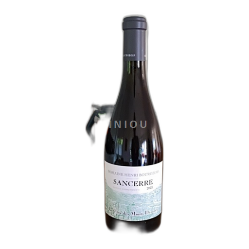 Valle del Loira Sancerre Domaine Henri Bourgeois Côtes des Monts Damnés 2023