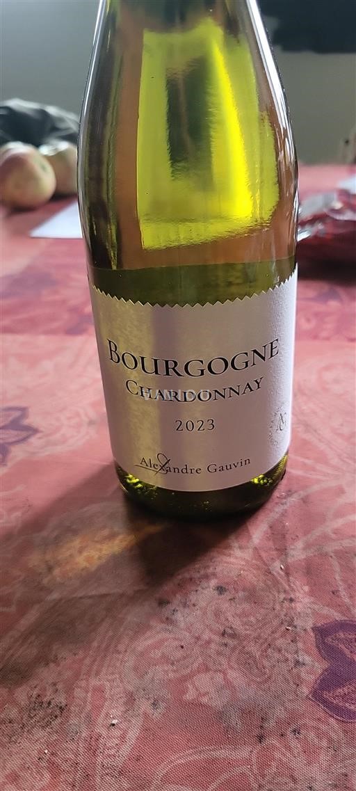 Bourgogne Alexandre Gauvin 2023