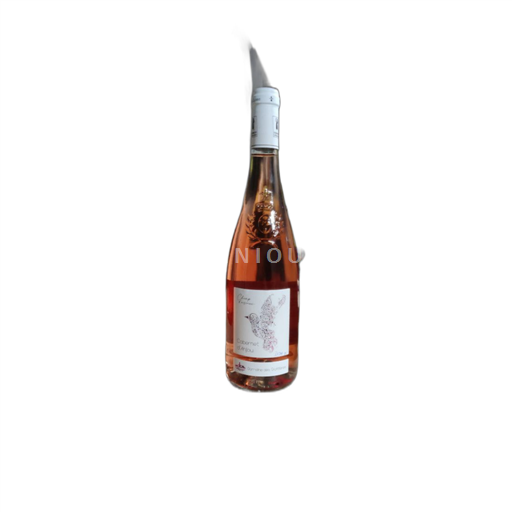 Loirevallei Cabernet d'Anjou Domaine Des Trottières Champ d'oiseaux 2023