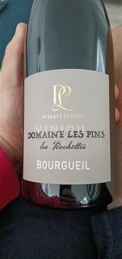 Valle del Loira Bourgueil Domaine Les Pins Les Rochettes 2021