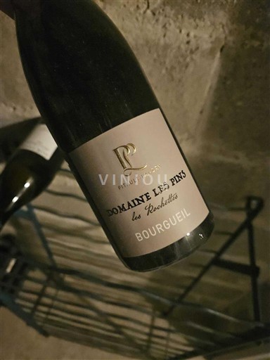 Valea Loarei Bourgueil Domaine Les Pins Les Rochettes 2021