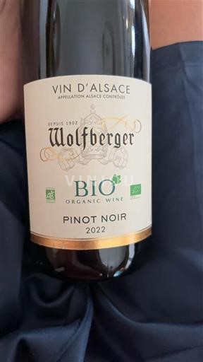 Alsasko Wolfberger Pinot Noir 2022