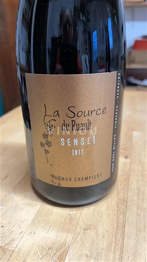 Valle del Loira Saumur-Champigny La Source du Ruault Sensei 2017