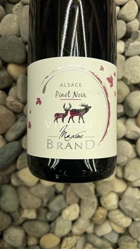Elzas Pinot noir Maxime Brand L’Esprit Nature 2023