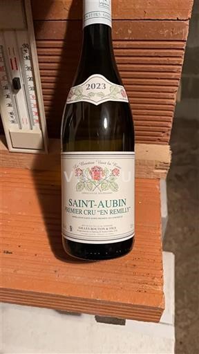 Burgundija Saint-Aubin Premier Cru Gilles Bouton & Fils En Remilly 2023