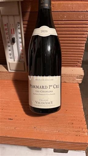 Burgundi Määrittelemätön Premier Cru Christophe Vaudoisey Les Chanlins 2020