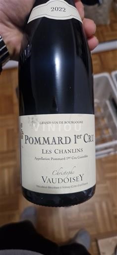 Bourgogne Ikke specificeret Premier Cru Christophe Vaudoisey Les Chanlins 2022